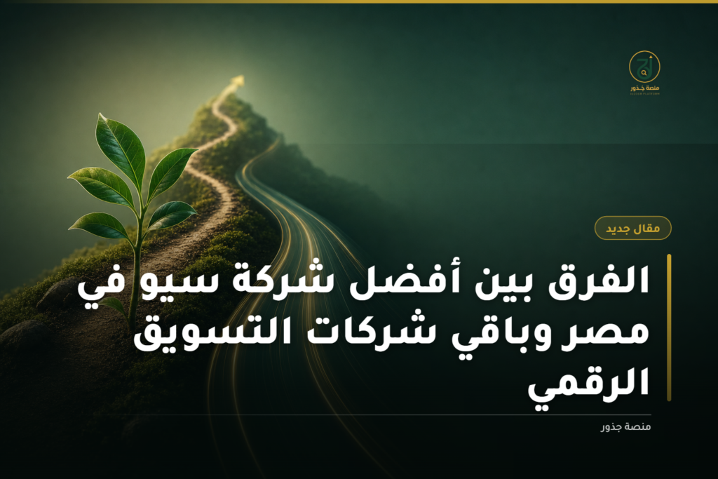 مخطط يوضح الفرق بين أفضل شركة سيو في مصر وباقي شركات التسويق الرقمي